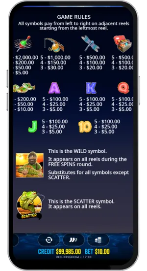 Big Bass Bonanza game rules paytable showing all symbol payouts wild and scatter descriptions